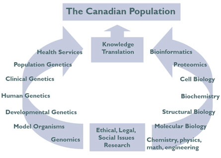 The major research communities aligned with the IG